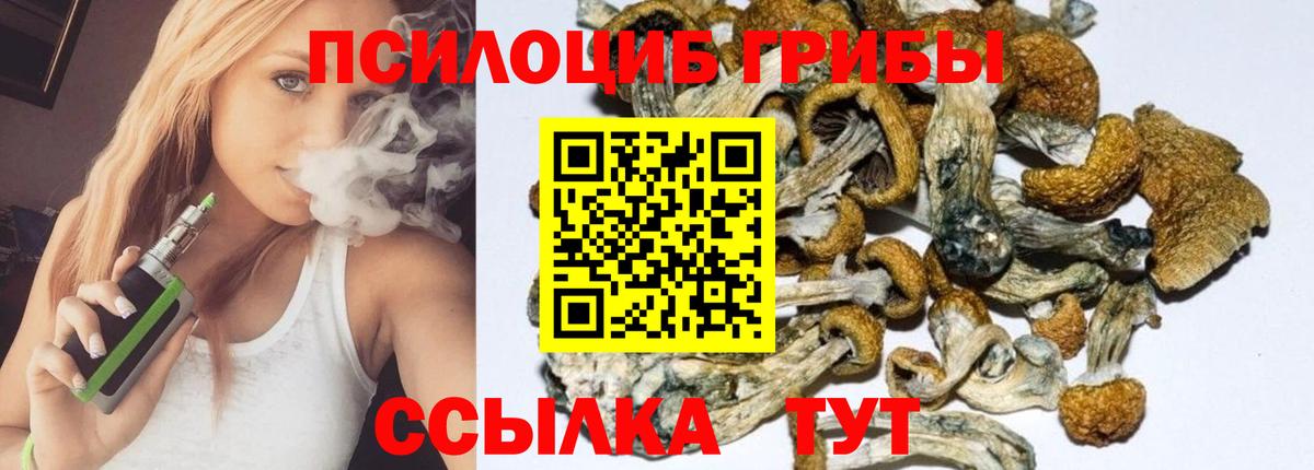 Псилоцибиновые грибы Psilocybe  Вход с VPN  Псков 
